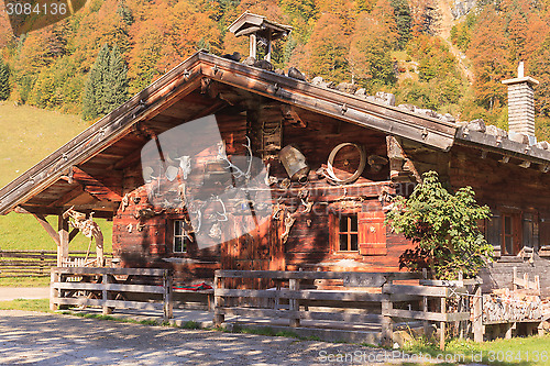 Image of Hut on maple back