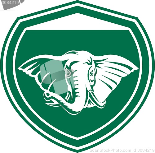 Image of Elephant Head Tusk Front Shield