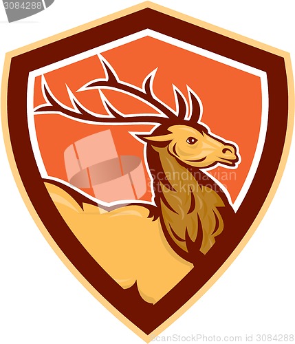 Image of Deer Stag Buck Head Shield Retro