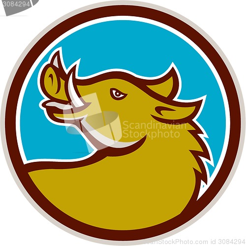 Image of Razorback Head Looking Up Circle Retro