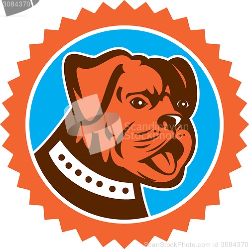 Image of Bulldog Dog Mongrel Head Mascot Rosette