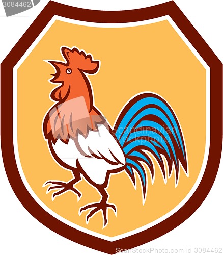 Image of Chicken Rooster Crowing Looking Up Shield Retro