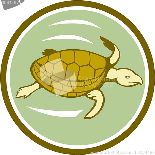 Image of Sea Turtle Swimming Circle Cartoon