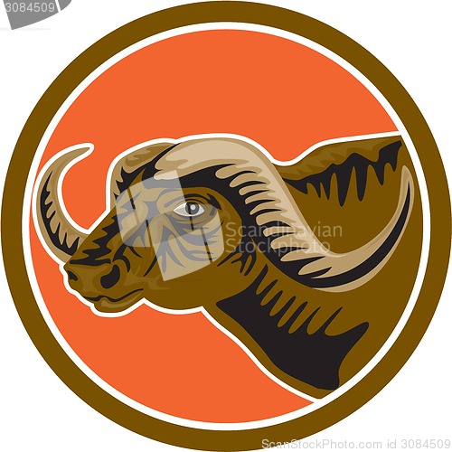 Image of African Buffalo Head Side Circle Retro