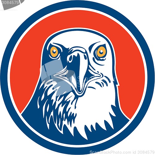 Image of American Bald Eagle Head Circle Retro