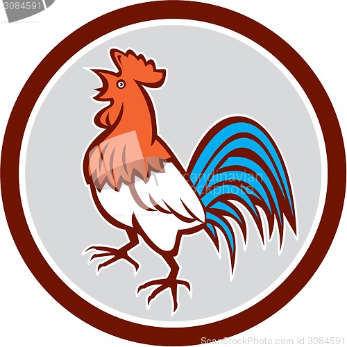 Image of Chicken Rooster Crowing Looking Up Circle Retro
