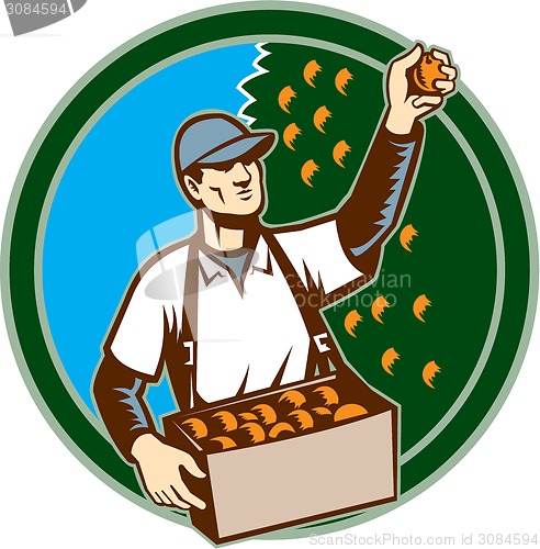 Image of Fruit Picker Worker Picking Plum Circle