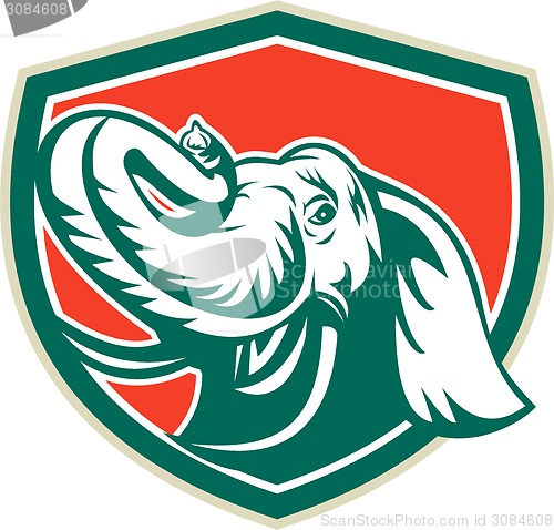 Image of Elephant Head Tusk Shield Retro