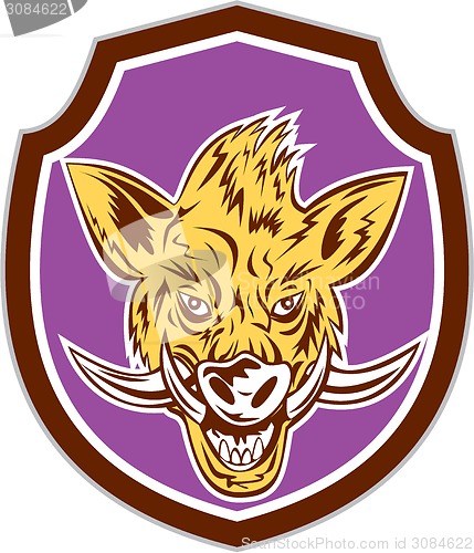 Image of Wild Boar Razorback Head Shield Retro