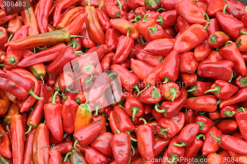 Image of Red chilies