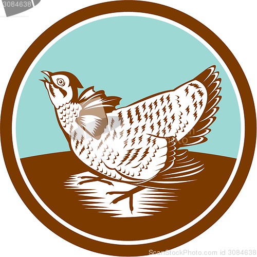 Image of Prairie Chicken Retro Circle