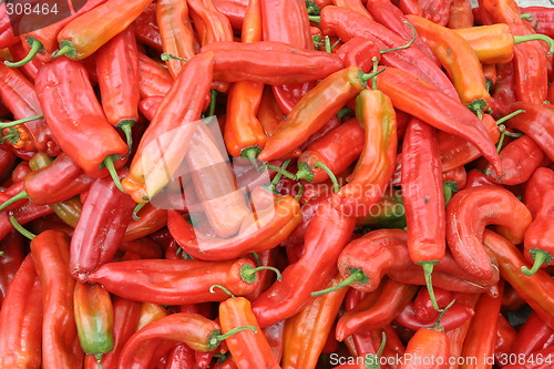 Image of Red chilies