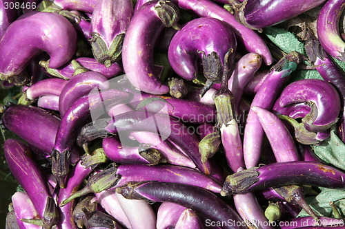 Image of Eggplants