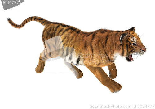 Image of Trotting Tiger