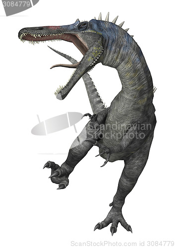 Image of Dinosaur Suchomimus