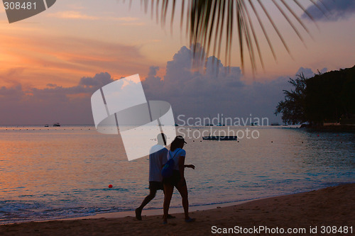 Image of Tropical Sundown