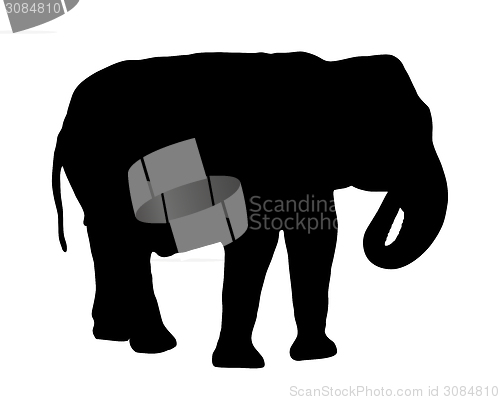 Image of Elephant silhouette