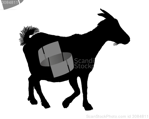 Image of Goat silhouette 