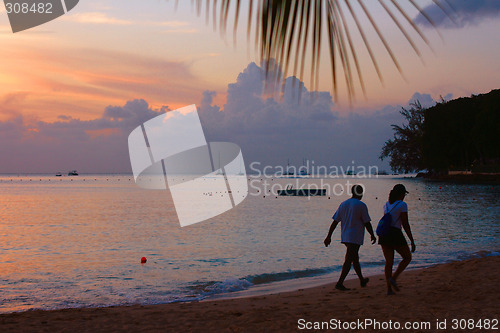 Image of Tropical Sundown