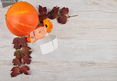 Image of Pumpkin background