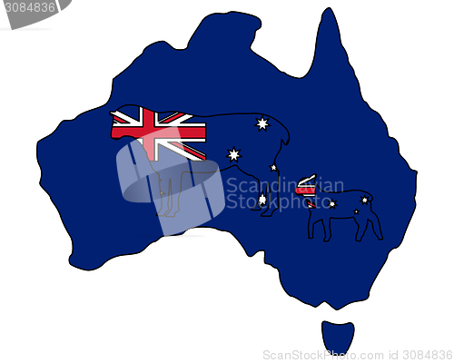Image of Australian sheeps