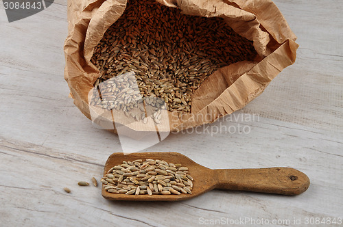 Image of Grain in bag