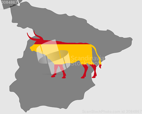 Image of Spanish bull