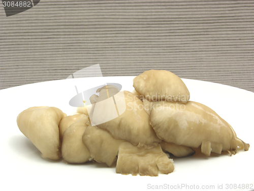 Image of Oyster mushrooms on a white plate of chinaware