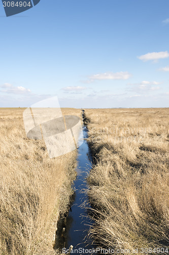 Image of Dune gras and ditch with blue sky