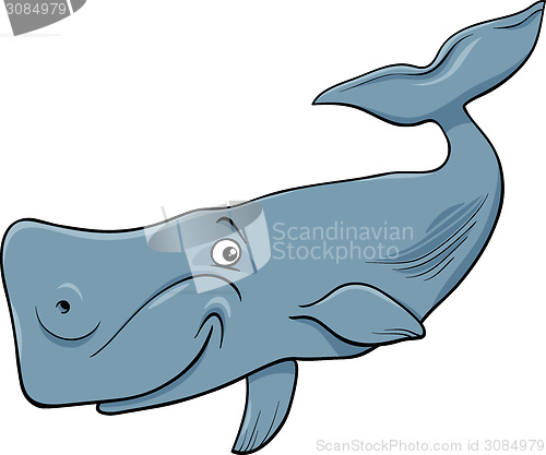 Image of whale animal cartoon illustartion