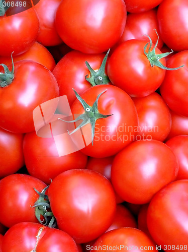 Image of Tomato