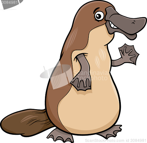 Image of platypus animal cartoon illustartion