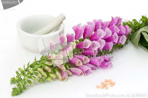 Image of Digitalis with pills
