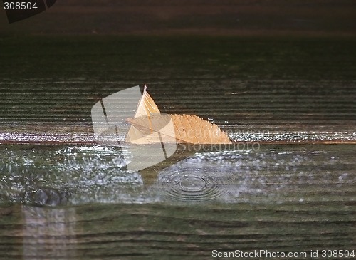 Image of Leaves in the Rain