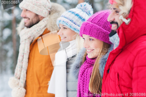 Image of group of smiling men and women in winter forest