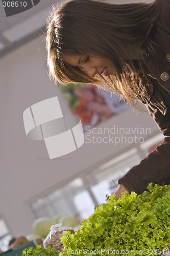 Image of Vegetable market-green lettuce