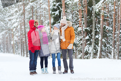 Image of group of smiling men and women in winter forest
