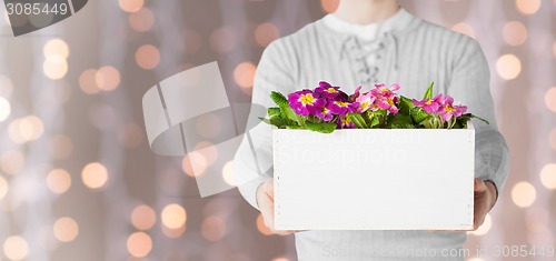 Image of close up of man holding big pot with flowers