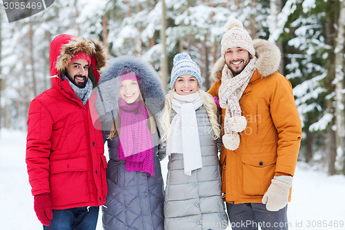 Image of group of smiling men and women in winter forest