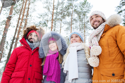 Image of group of smiling men and women in winter forest