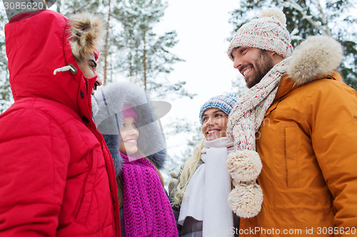 Image of group of smiling men and women in winter forest