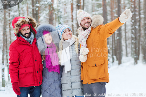 Image of group of smiling men and women in winter forest