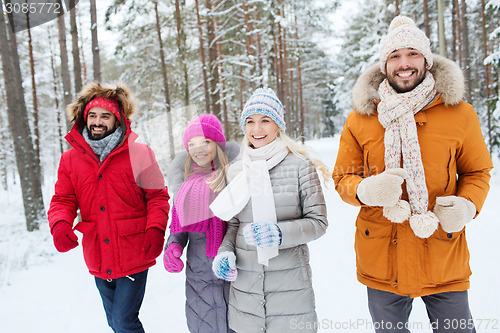 Image of group of smiling men and women in winter forest