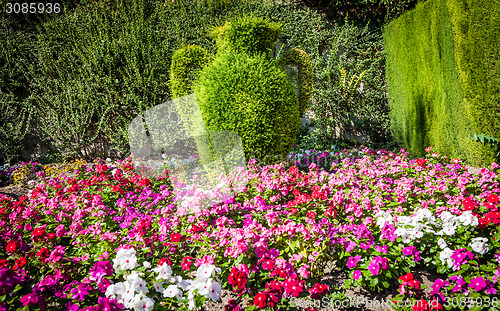 Image of Italian Garden