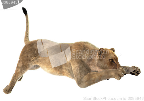 Image of Hunting Lioness