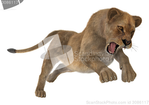 Image of Hunting Lioness