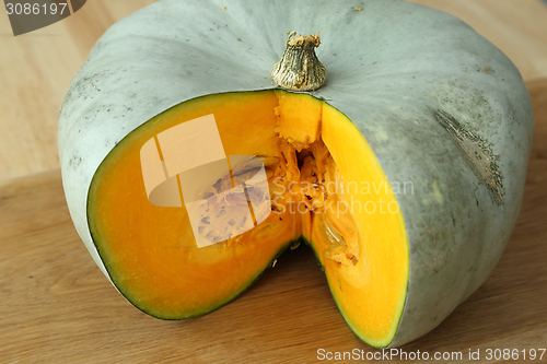 Image of Squash.