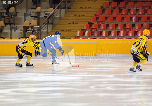 Image of Saveliev Dmitry (19)