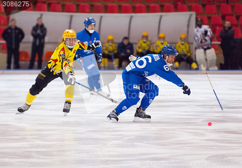 Image of Sveshnikov M (66) lost a stick