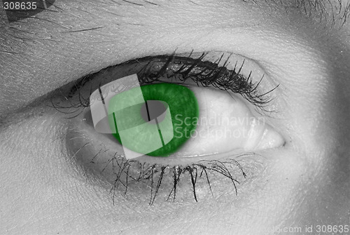 Image of green eye